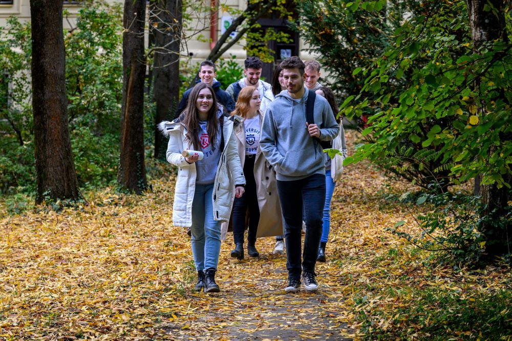 Rangsor hir foto.jpg